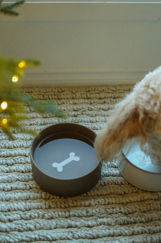 Pottery Pet Bowl L, Earth