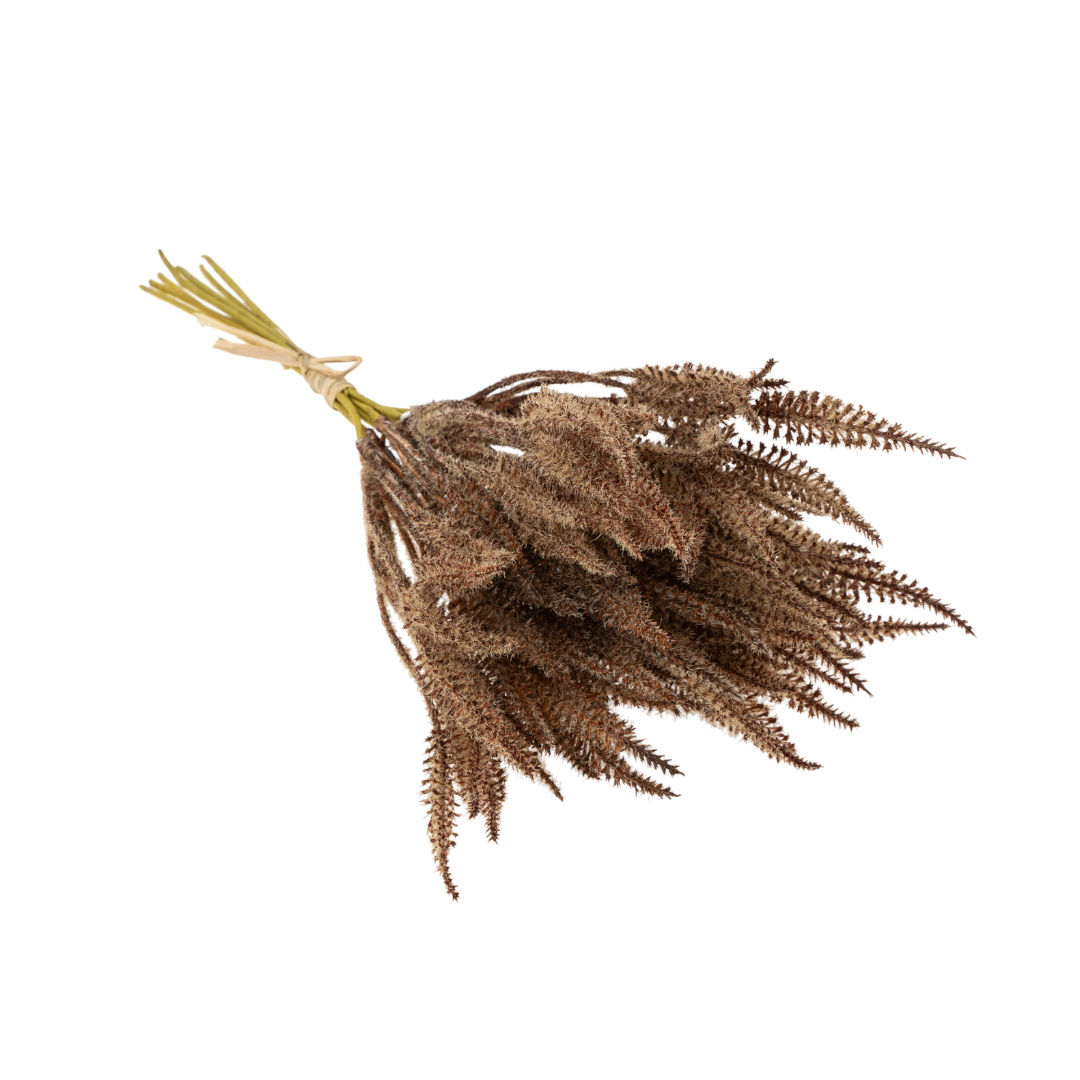 Mini Pampas Grass Bundle, Brown