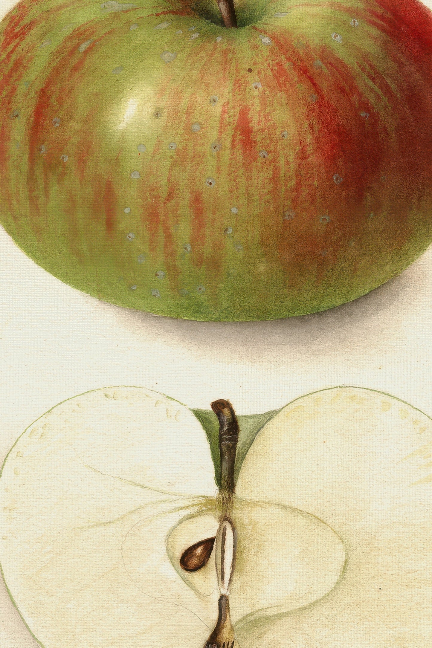 SAVEUR DU PASSÉ, VINTAGE BRONZE FRAME