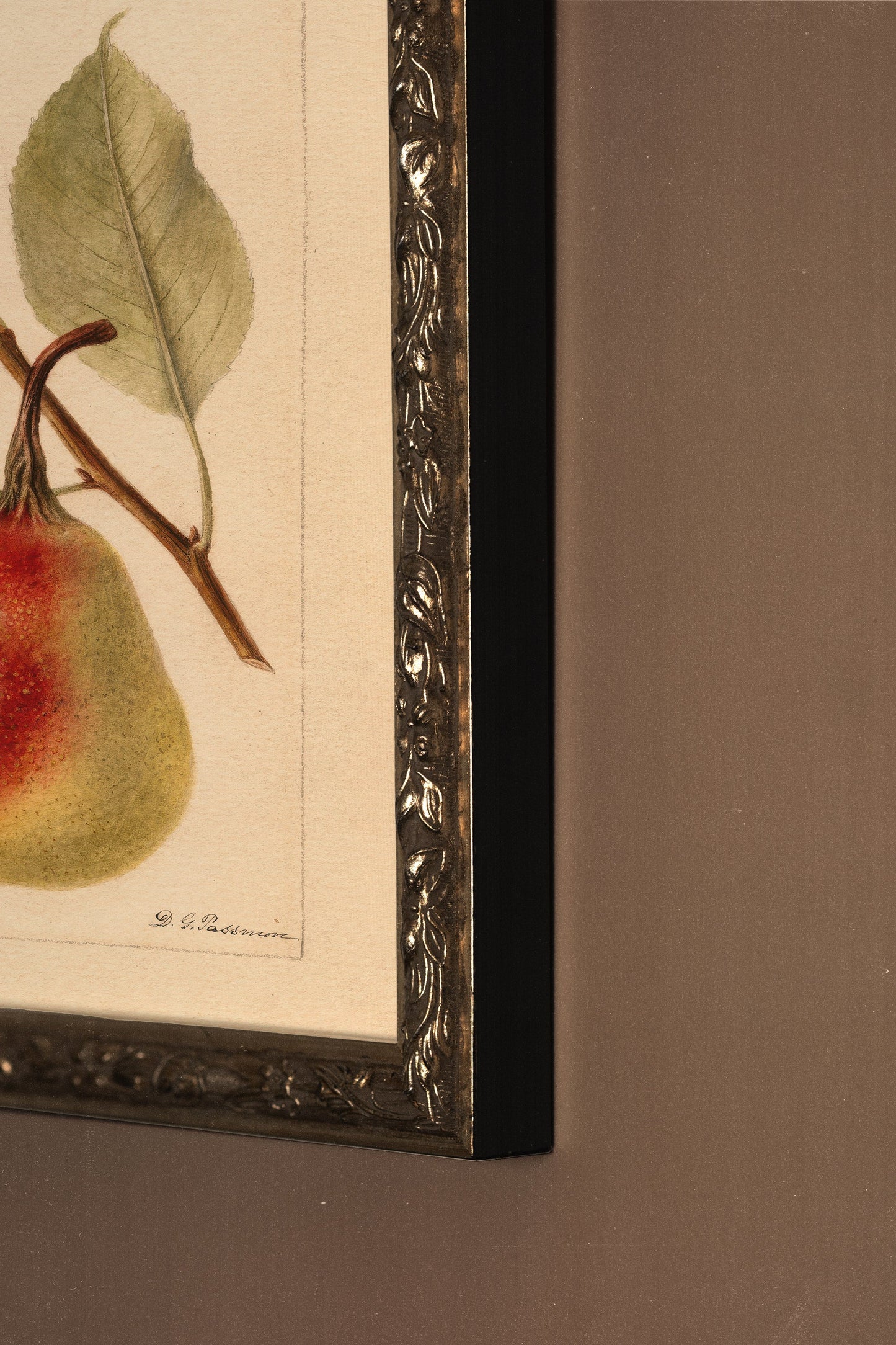 NECTAR DE LA SAISON, VINTAGE BRONZE FRAME