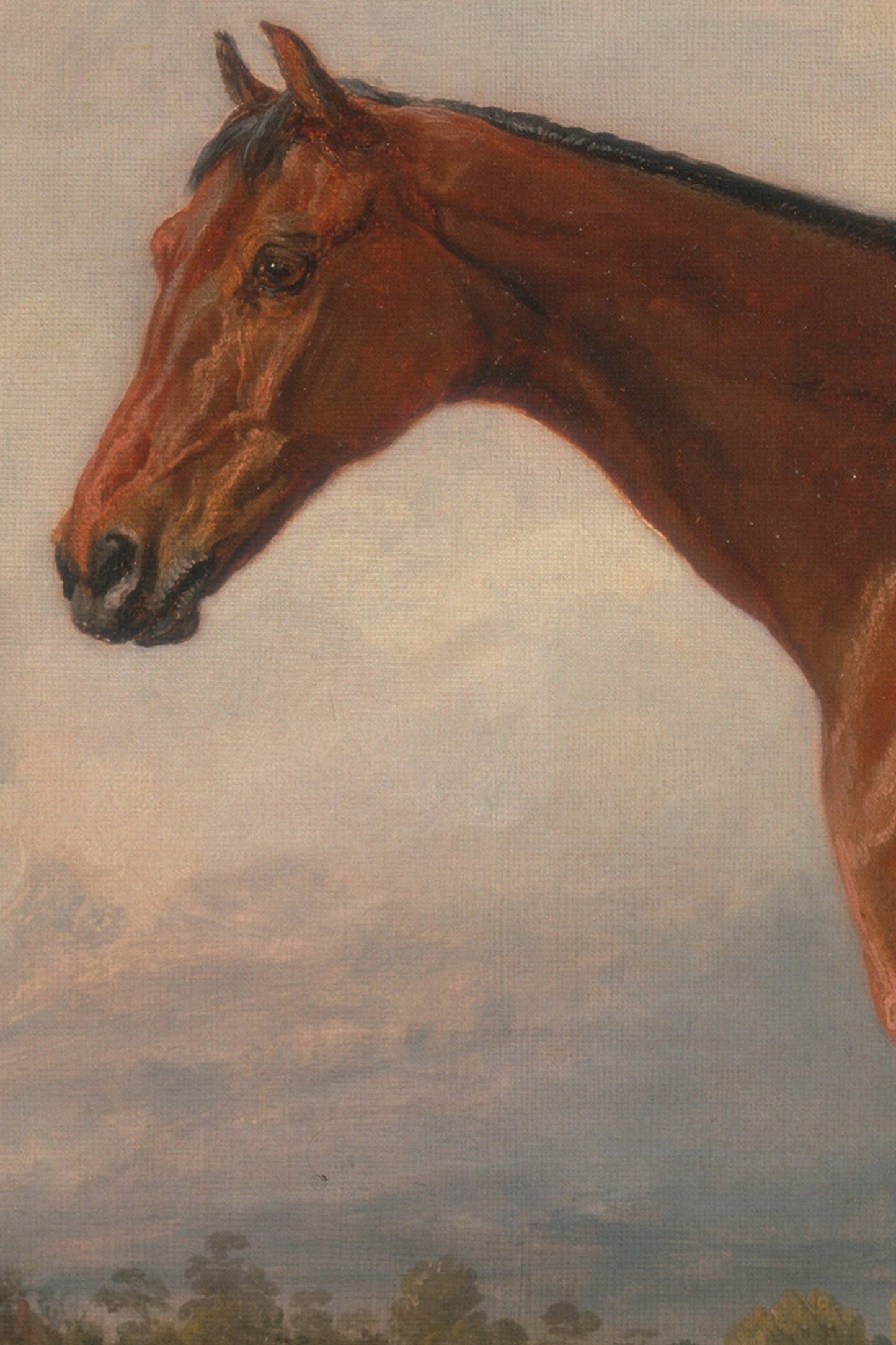 MAJESTÉ ÉQUESTRE, VINTAGE BRONZE FRAME