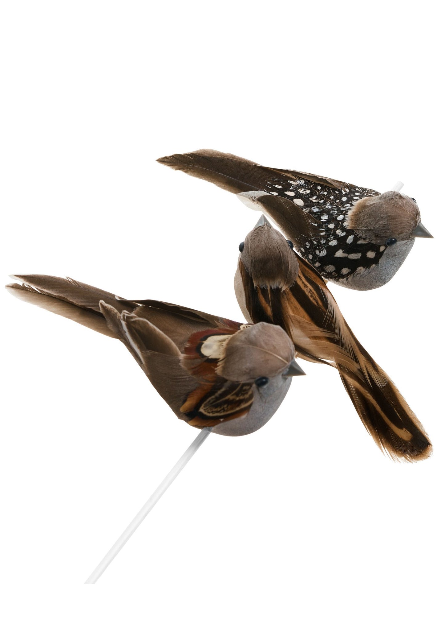 Bird Ornament w/ Clip