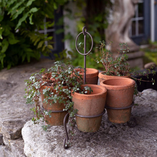 Wire Stand w/ 6 Terracotta Pots