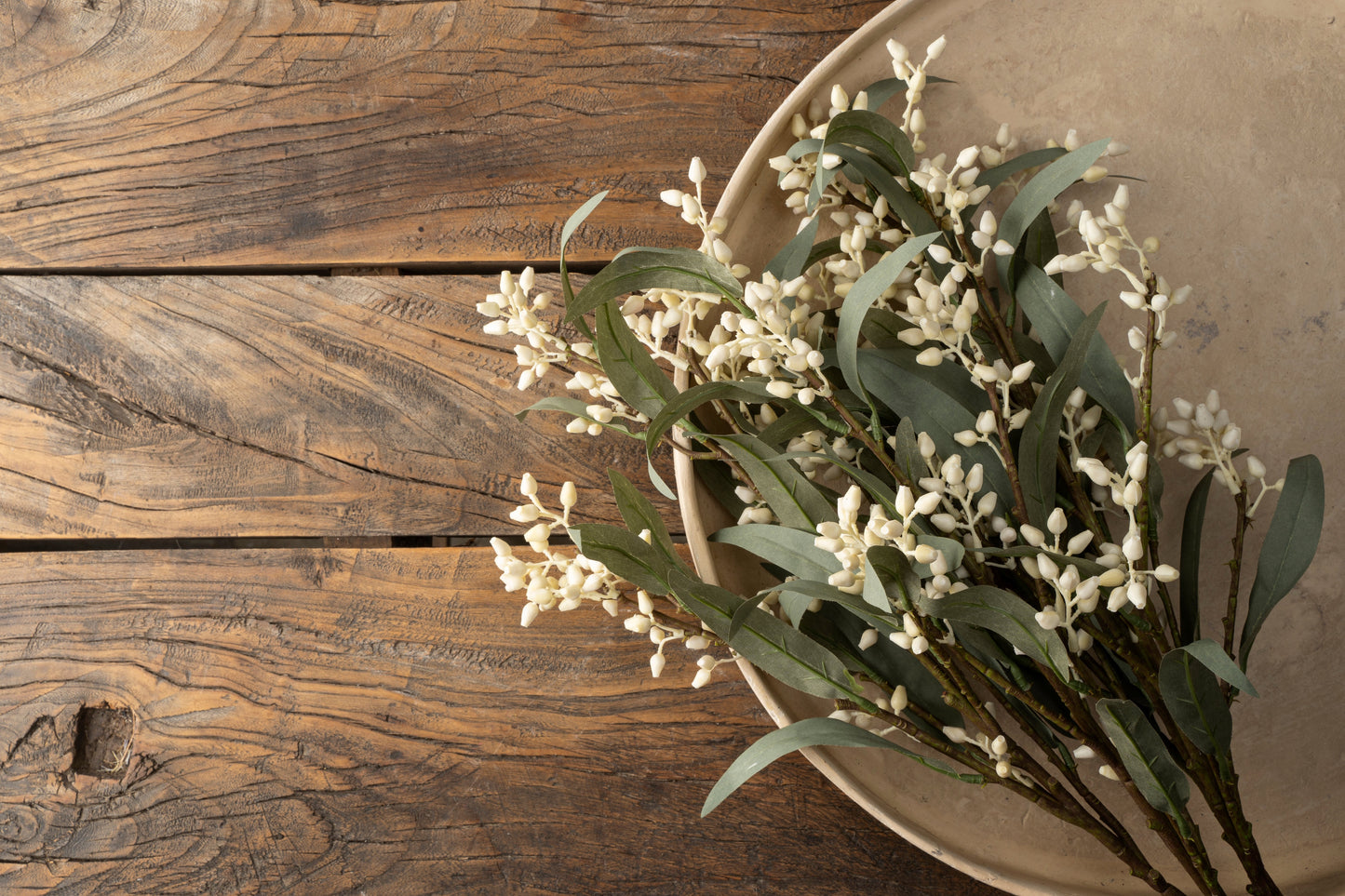 Flowering Eucalyptus Branch