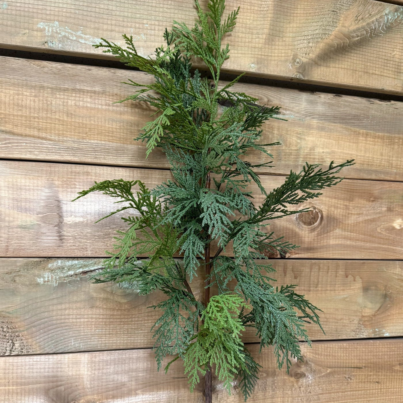 Faux Northern White Cedar Spray