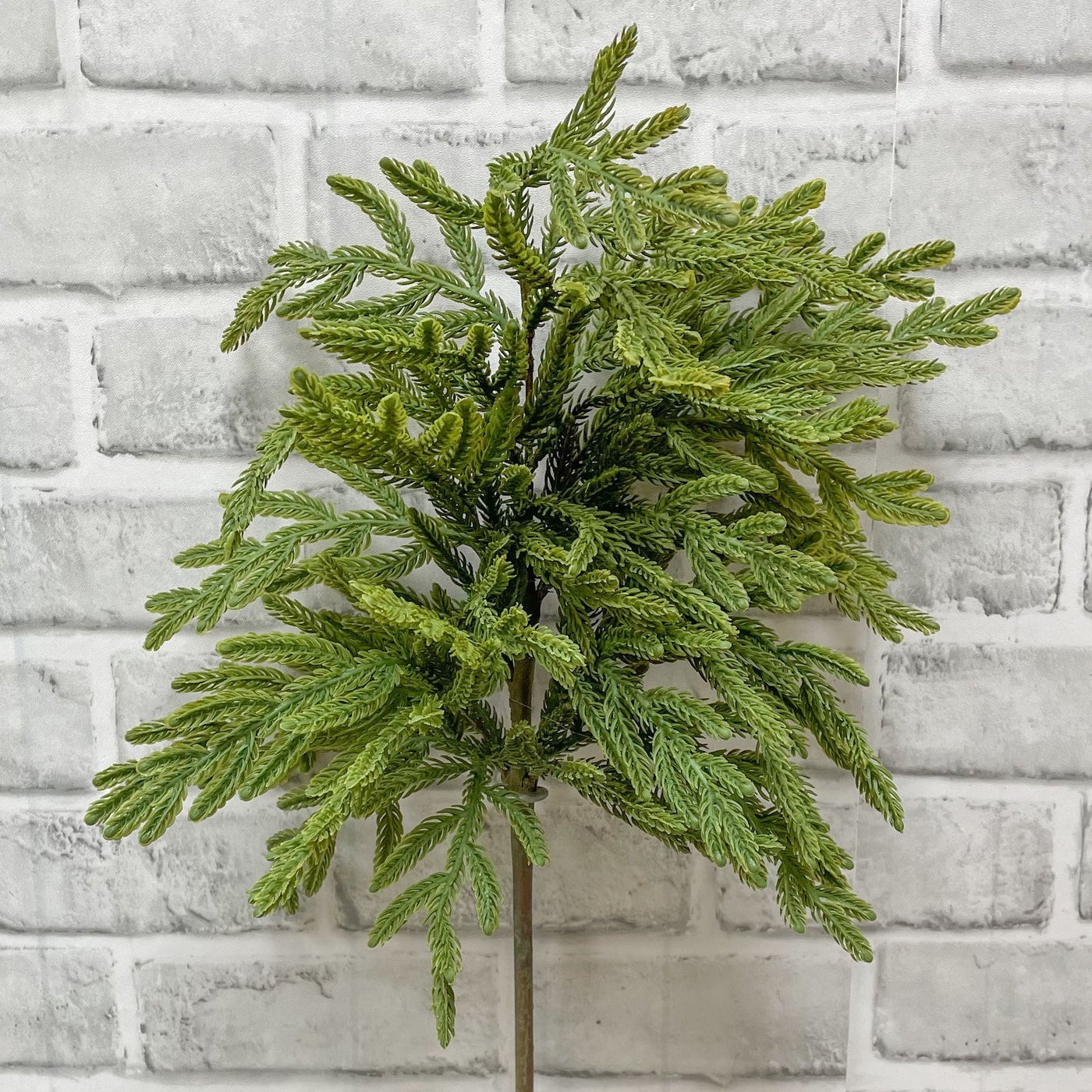 Faux Norfolk Island Pine Spray