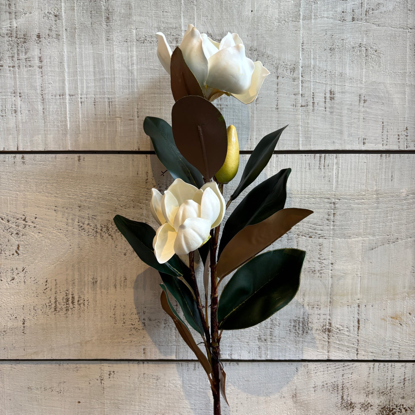 Faux Flowering Magnolia Branch
