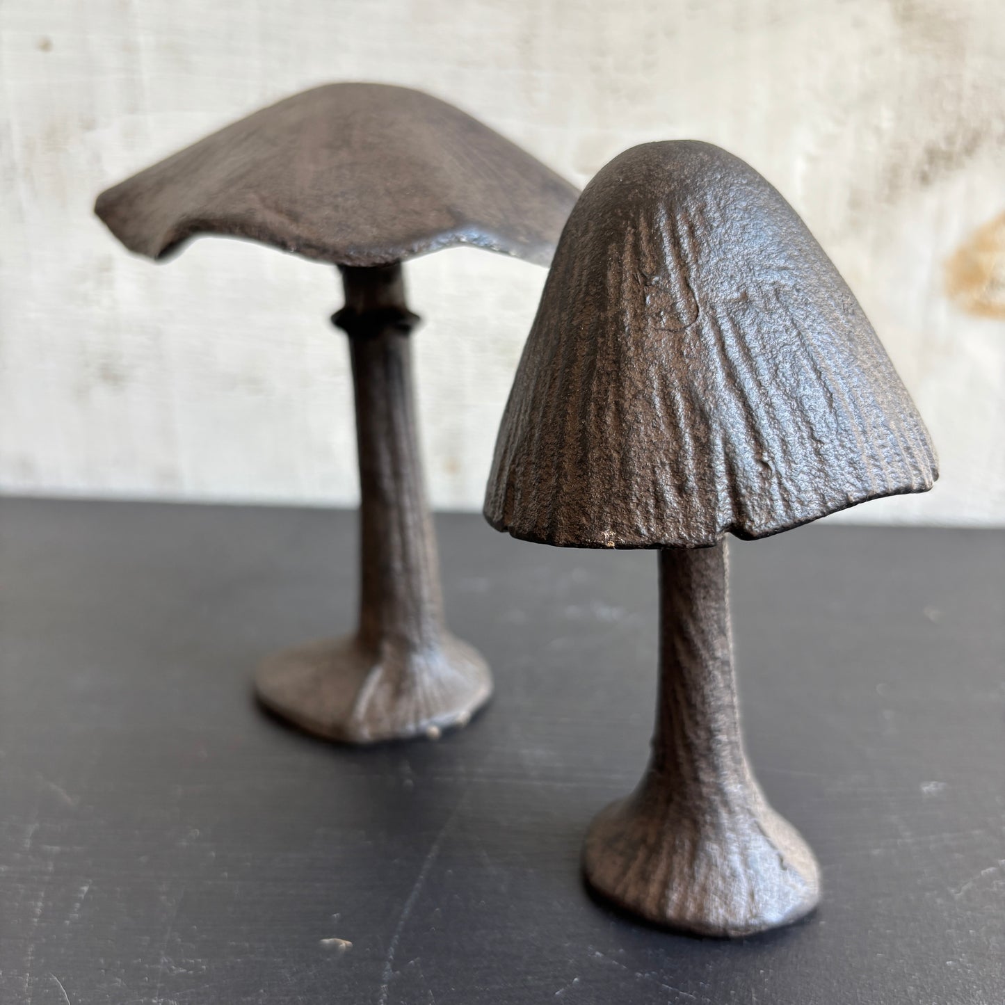 Cast Iron Mushroom