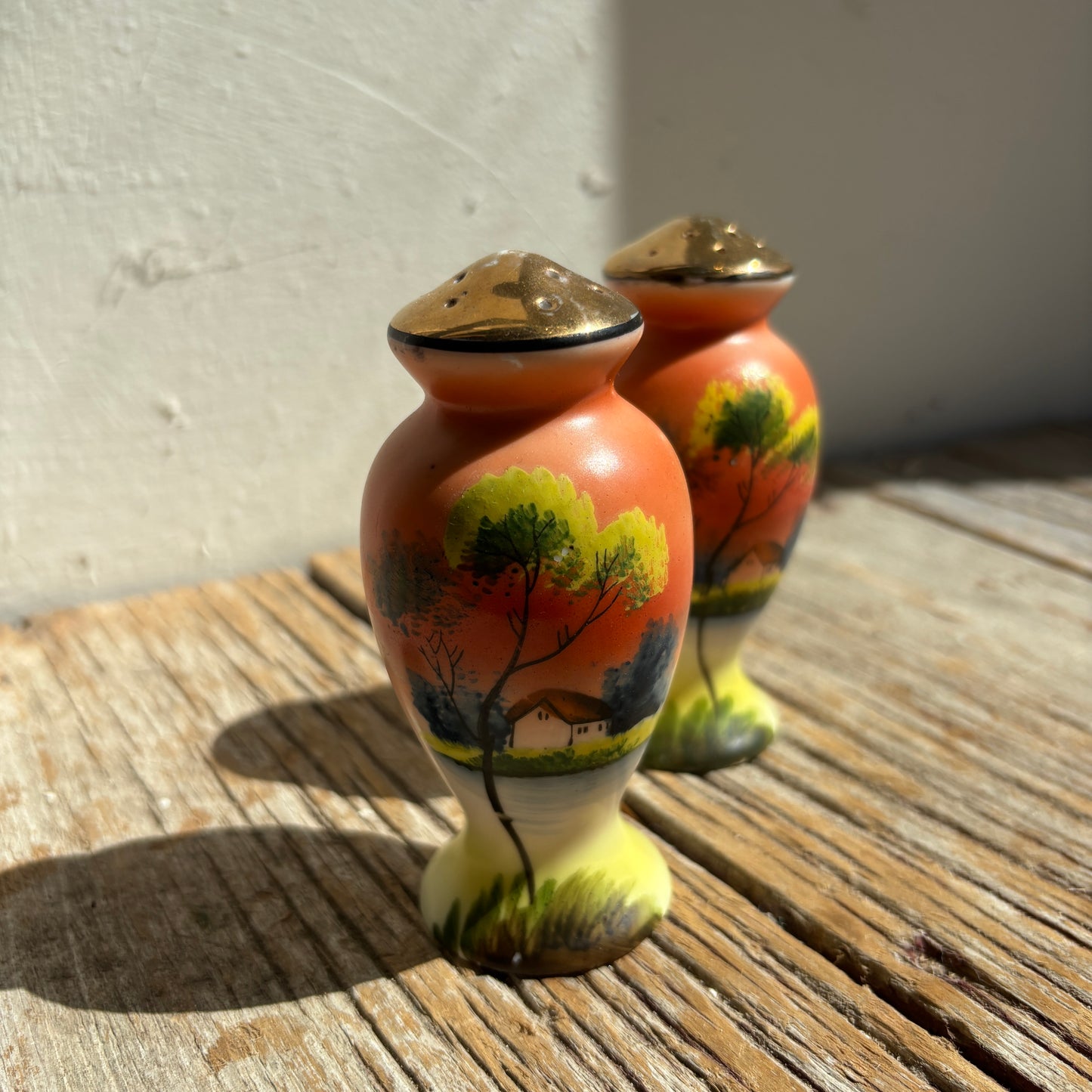 Sunset Landscape Salt & Pepper Shakers - Set of 2
