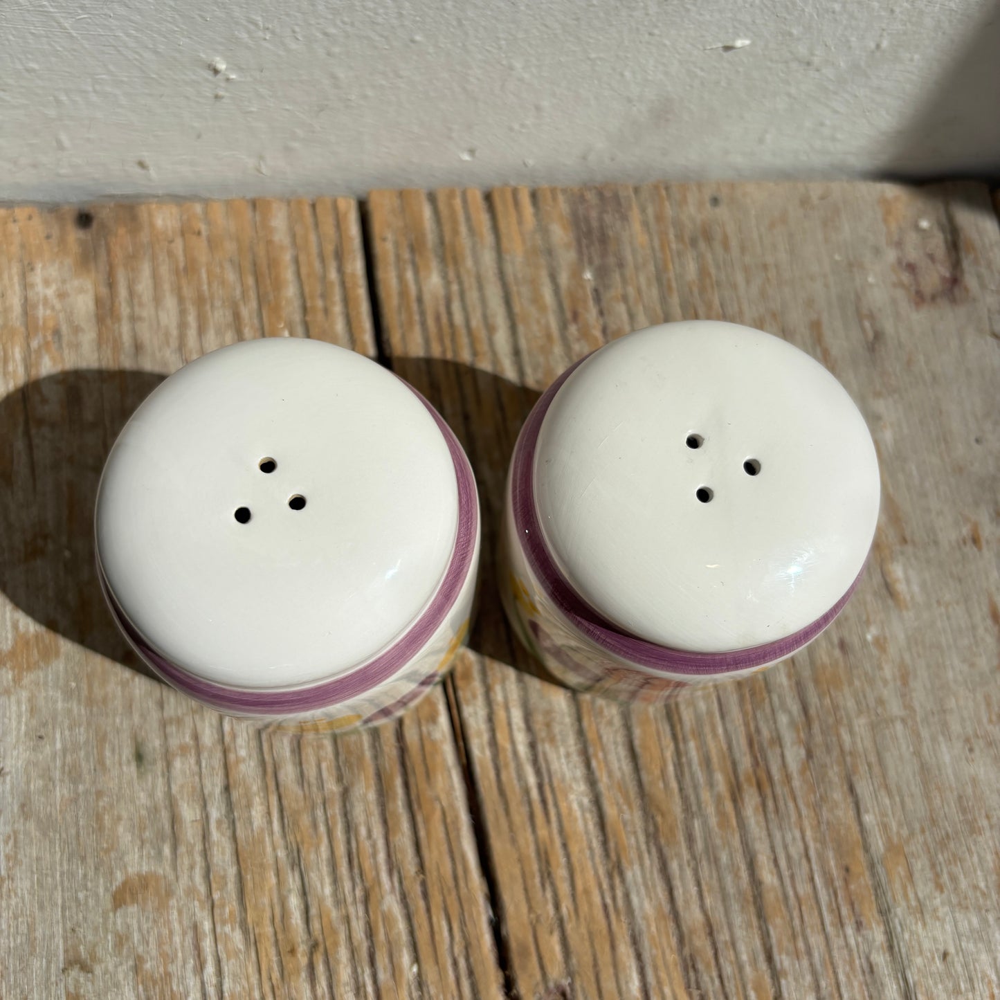 Tulip & Purple Stripe Salt & Pepper Shakers - Set of 2