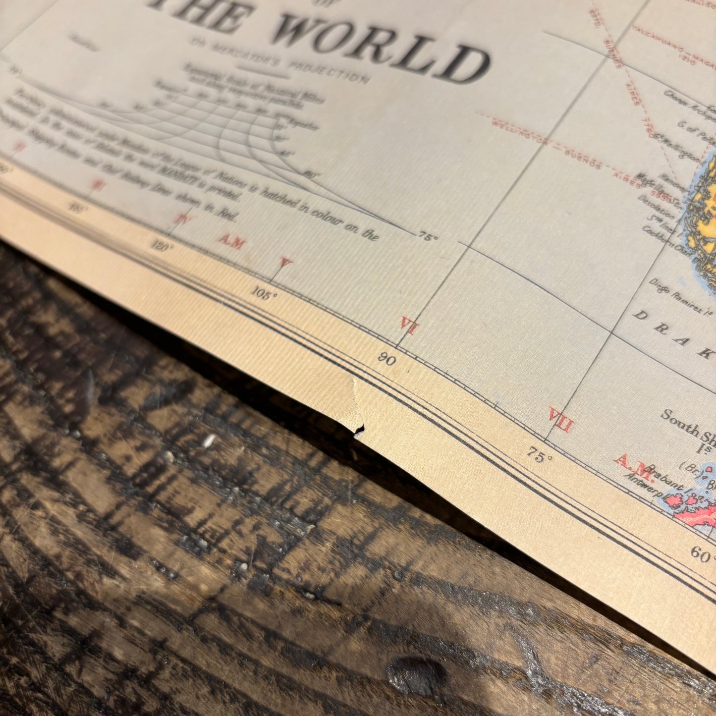 Poster - World Map