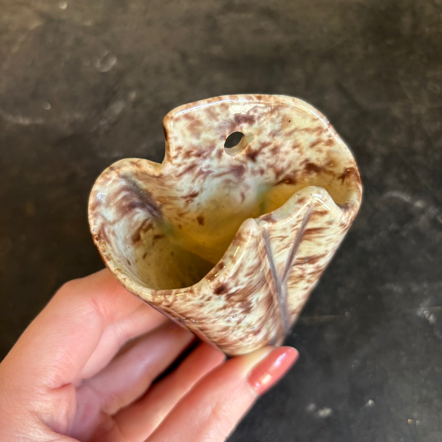 Shell Wall Vase