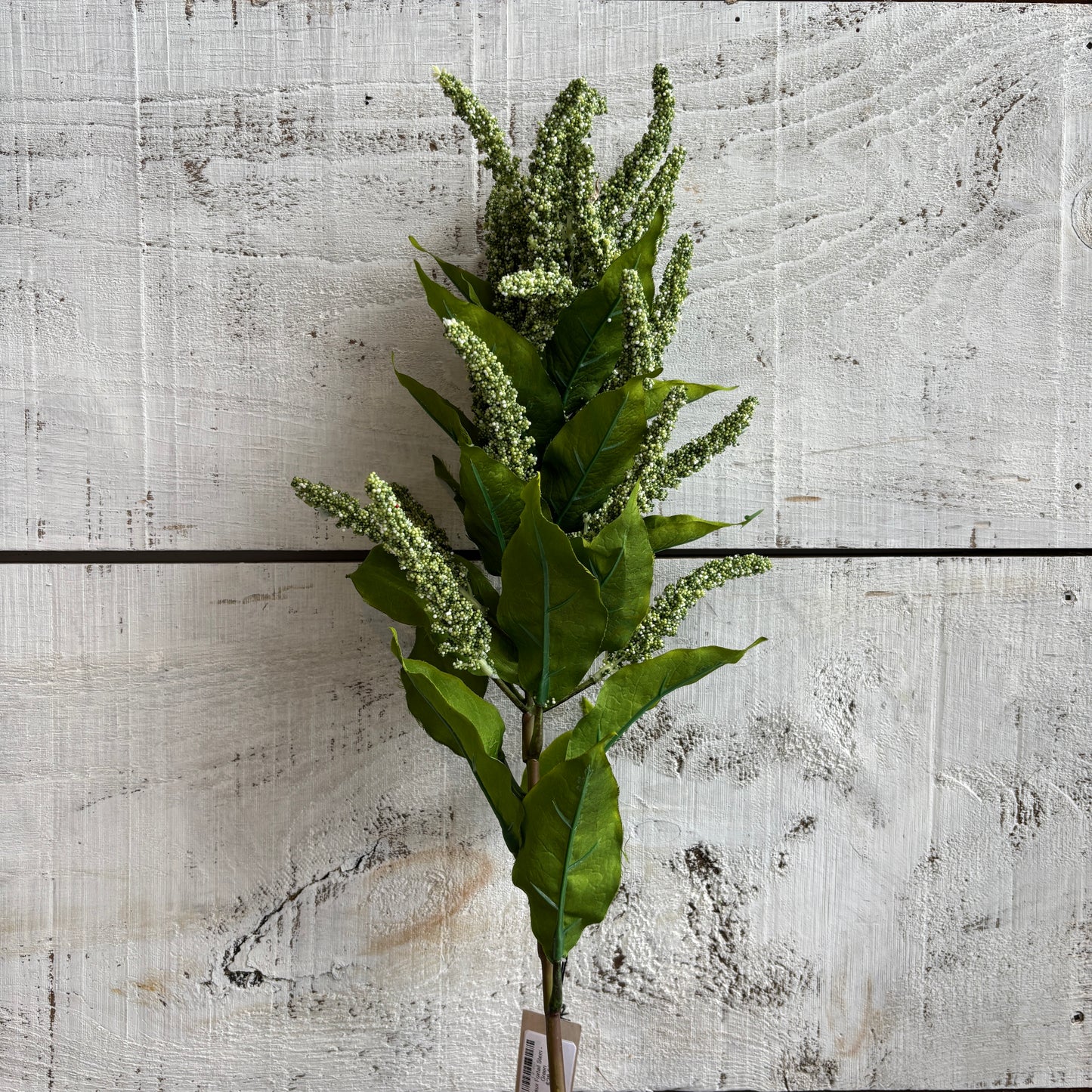 Faux Foxtail Stem - Green
