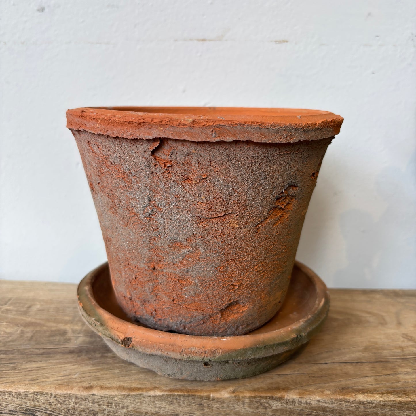 Aged Clay Cactus Pot w/ Saucer