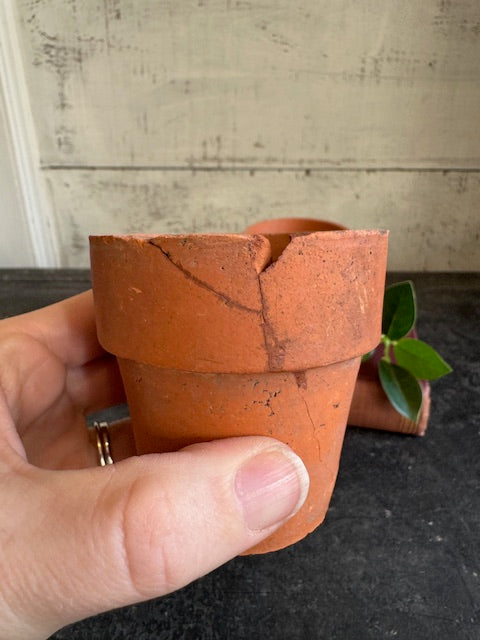 Mini Terracotta Pots - Set of 2