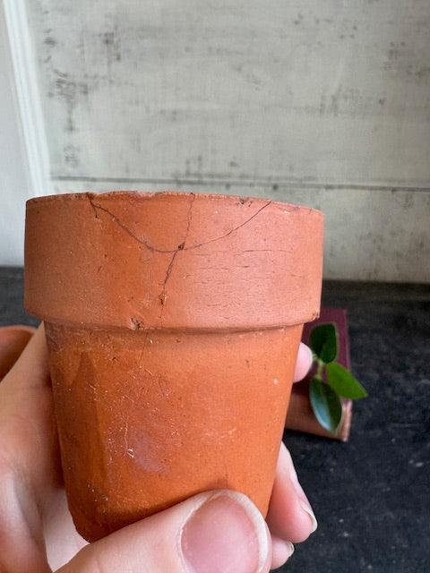 Mini Terracotta Pots - Set of 2