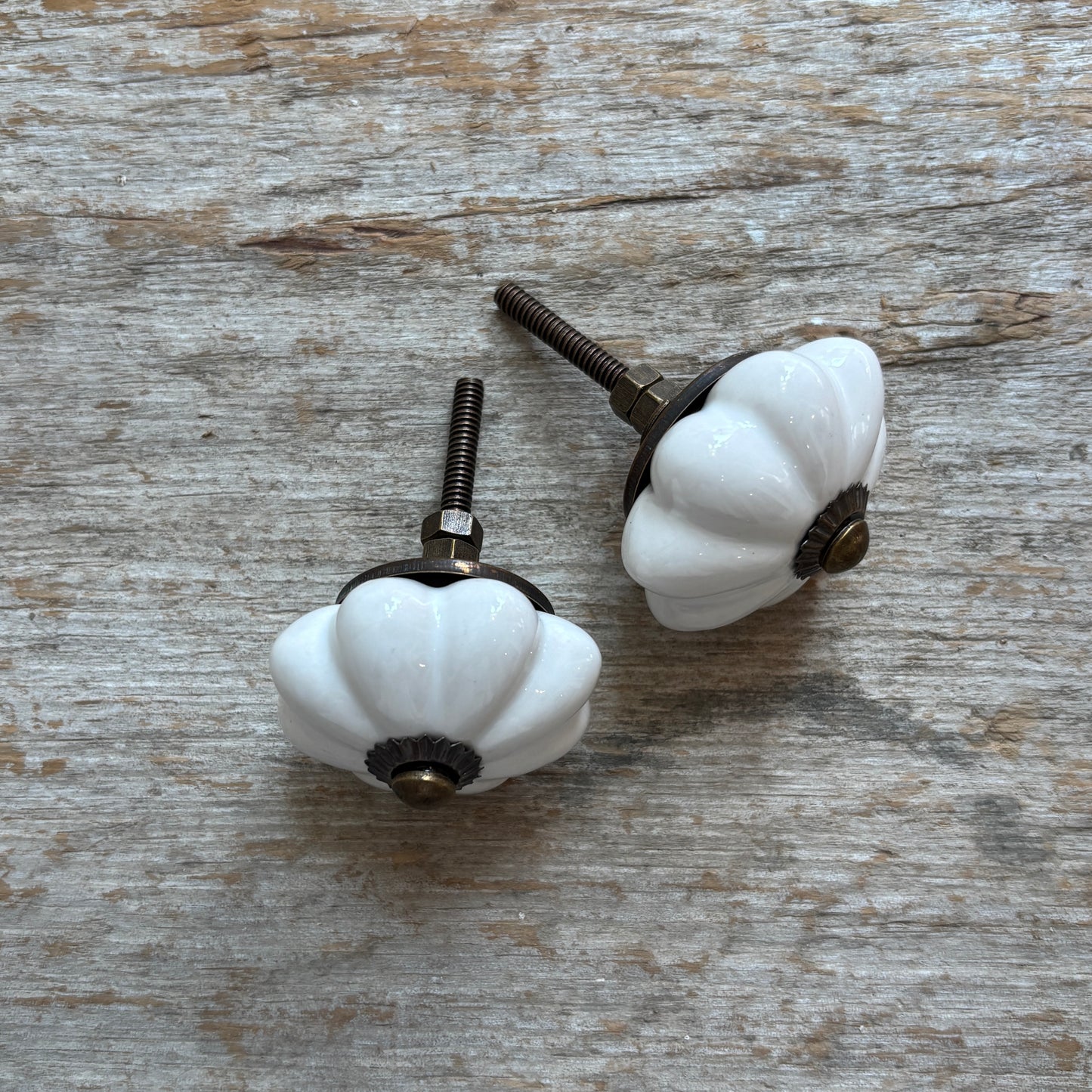 Knob: Ceramic Pumpkin - White Floral