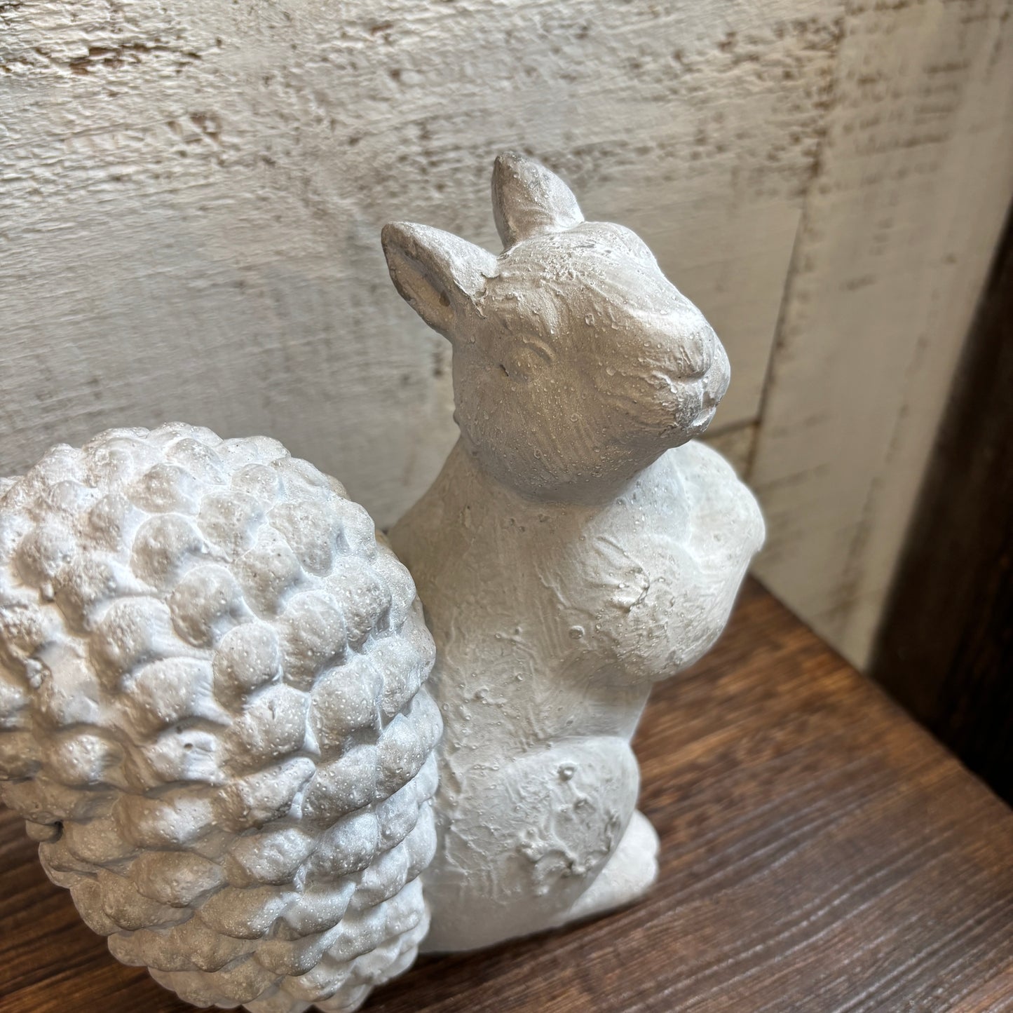 Cement Squirrel
