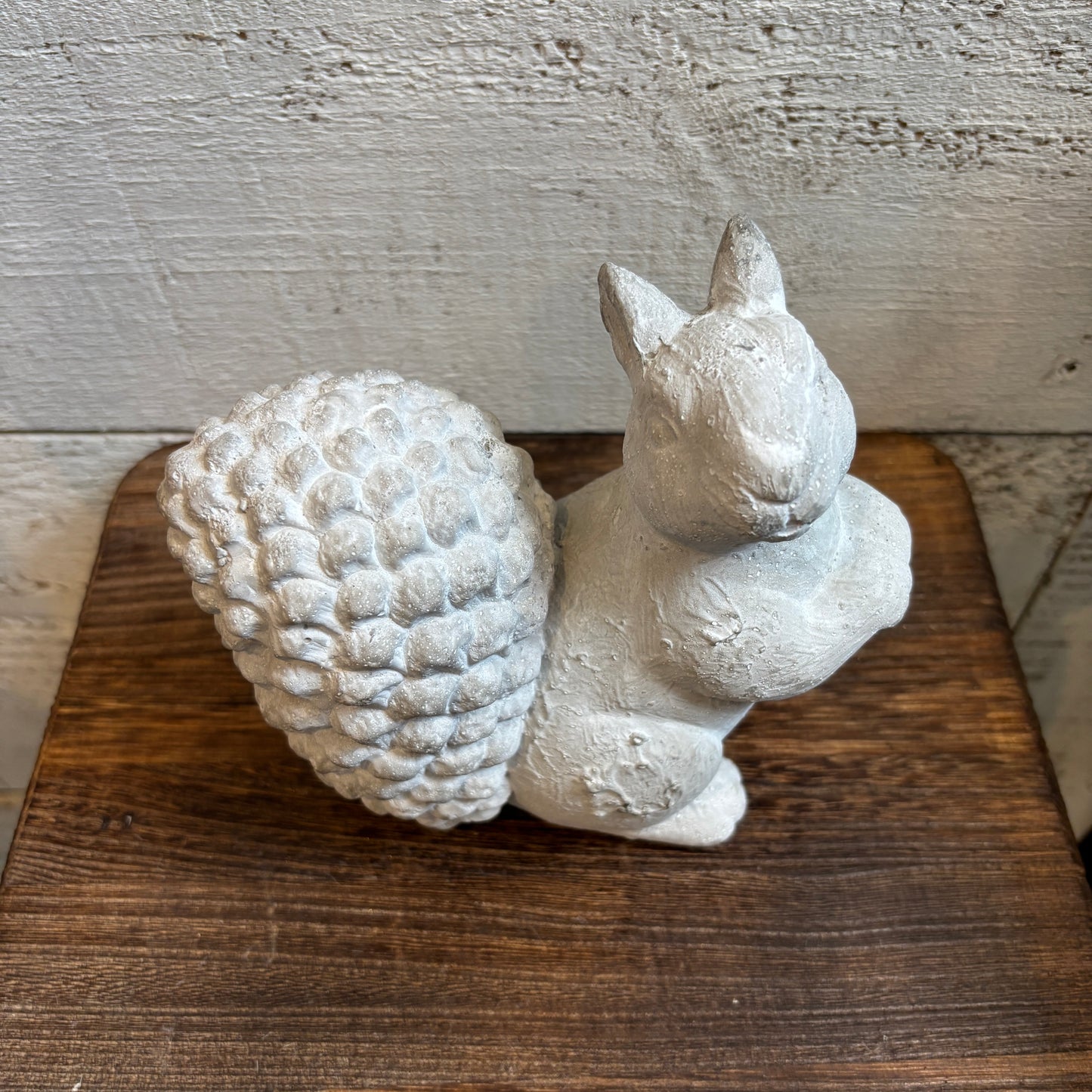 Cement Squirrel