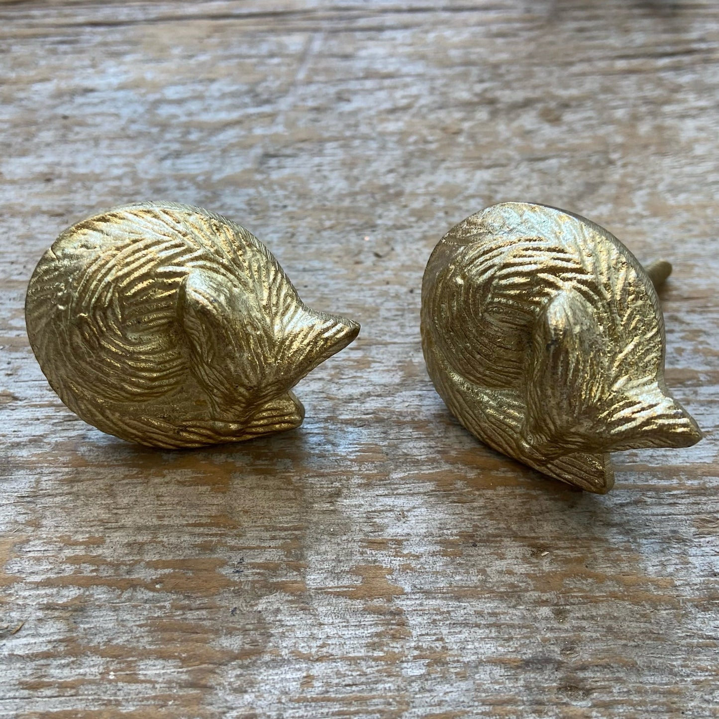 Knob: Cast Iron Gold Fox