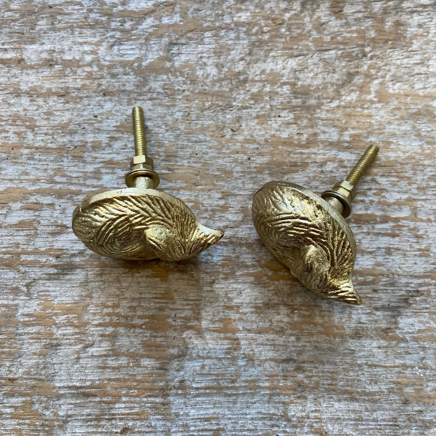 Knob: Cast Iron Gold Fox