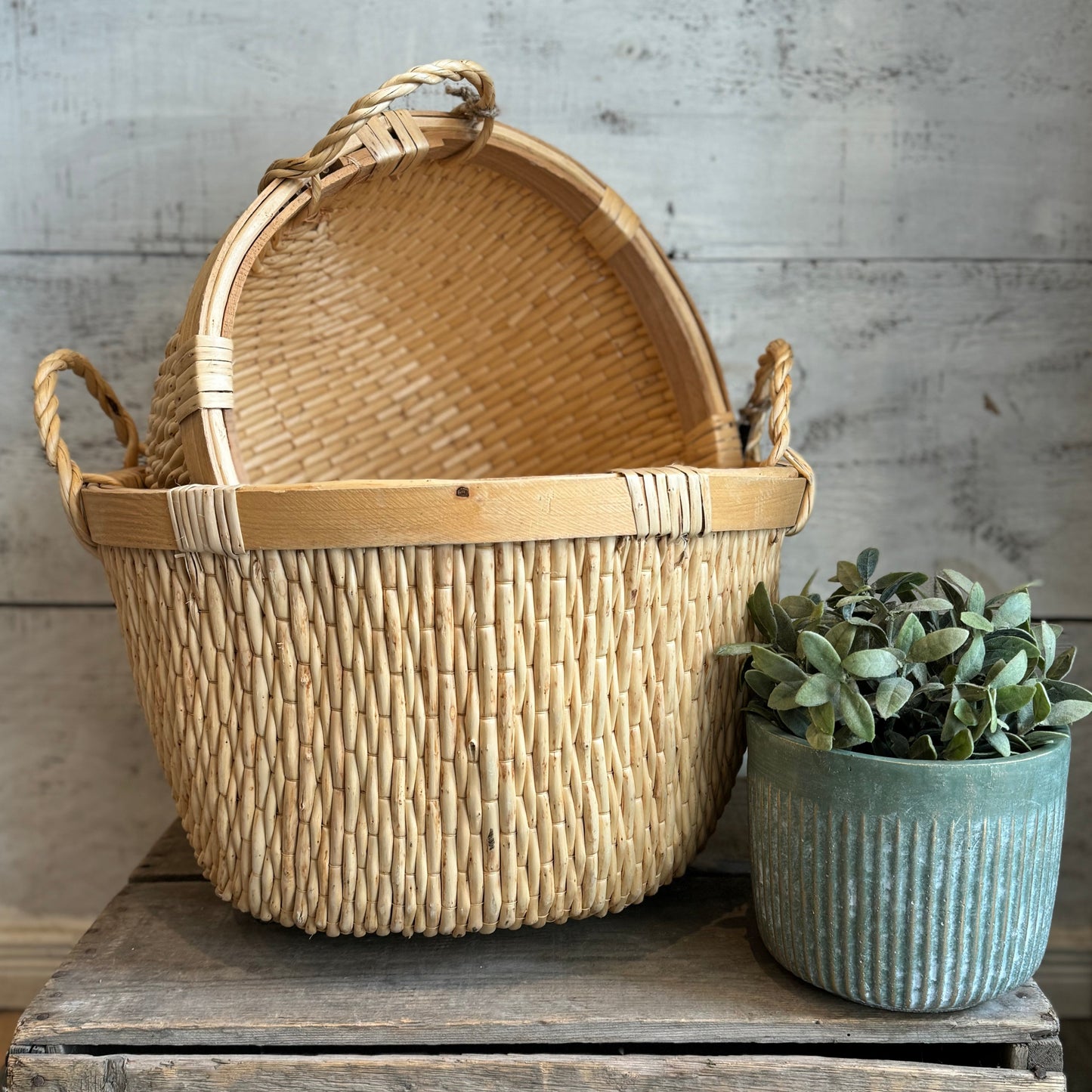Woven Willow Basket