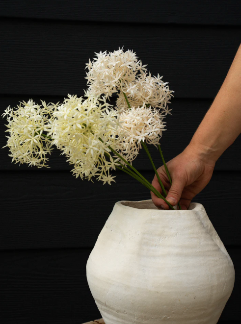 Allium Floral Spray, Cream