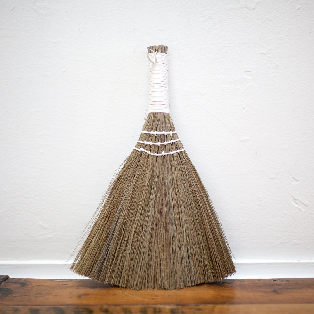 Whisk Broom