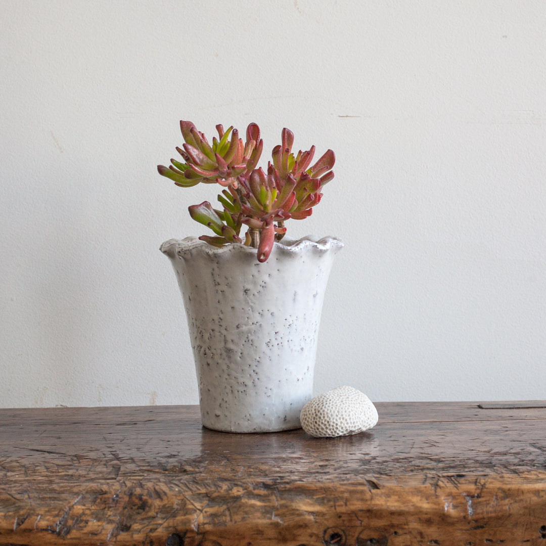 Pie Crust Planter