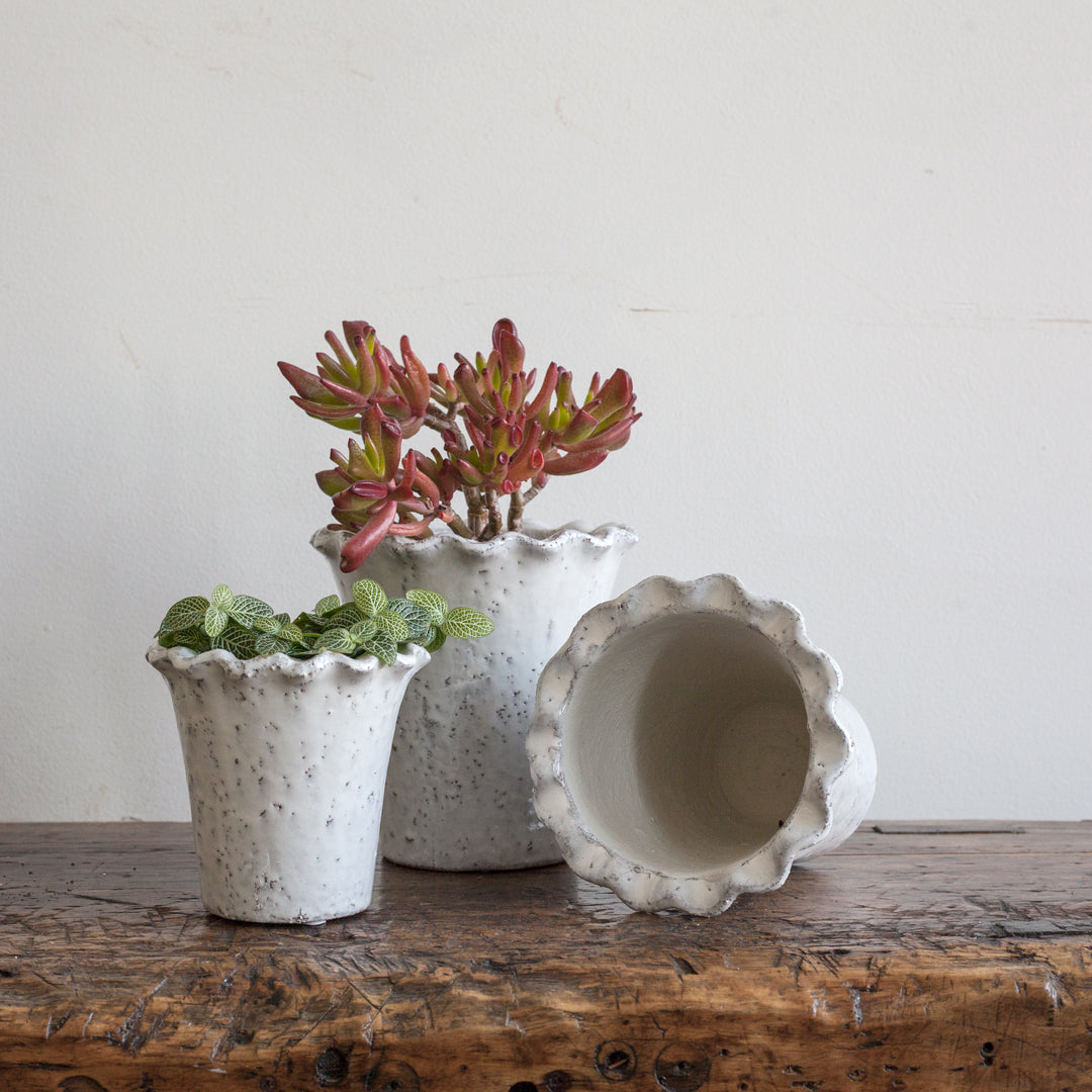 Pie Crust Planter