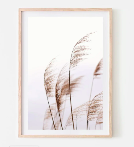 Vintage Print - Pampas Grass