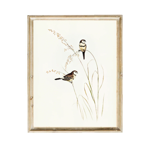 Vintage Print: Birds