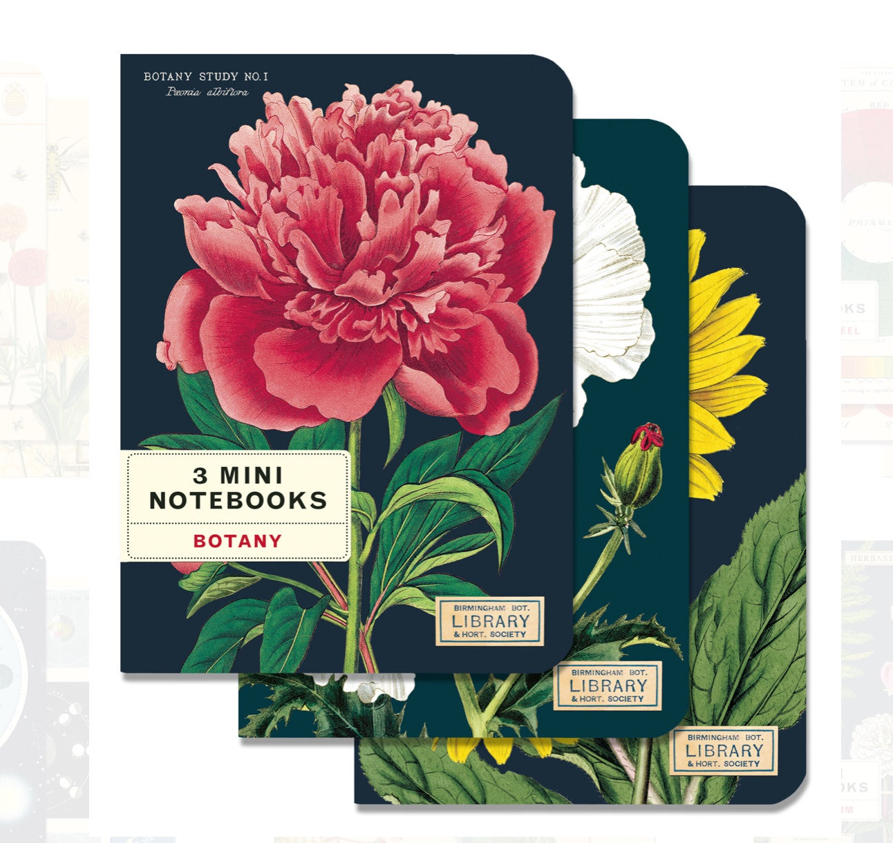 Mini Notebook - Botany
