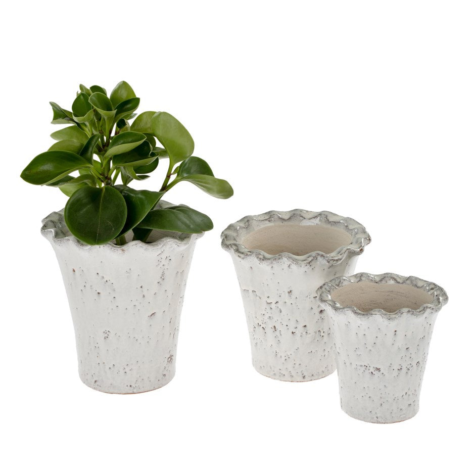 Pie Crust Planter