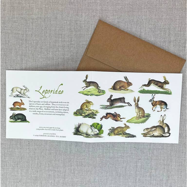 Card: Rabbit- 100% Recycled Paper