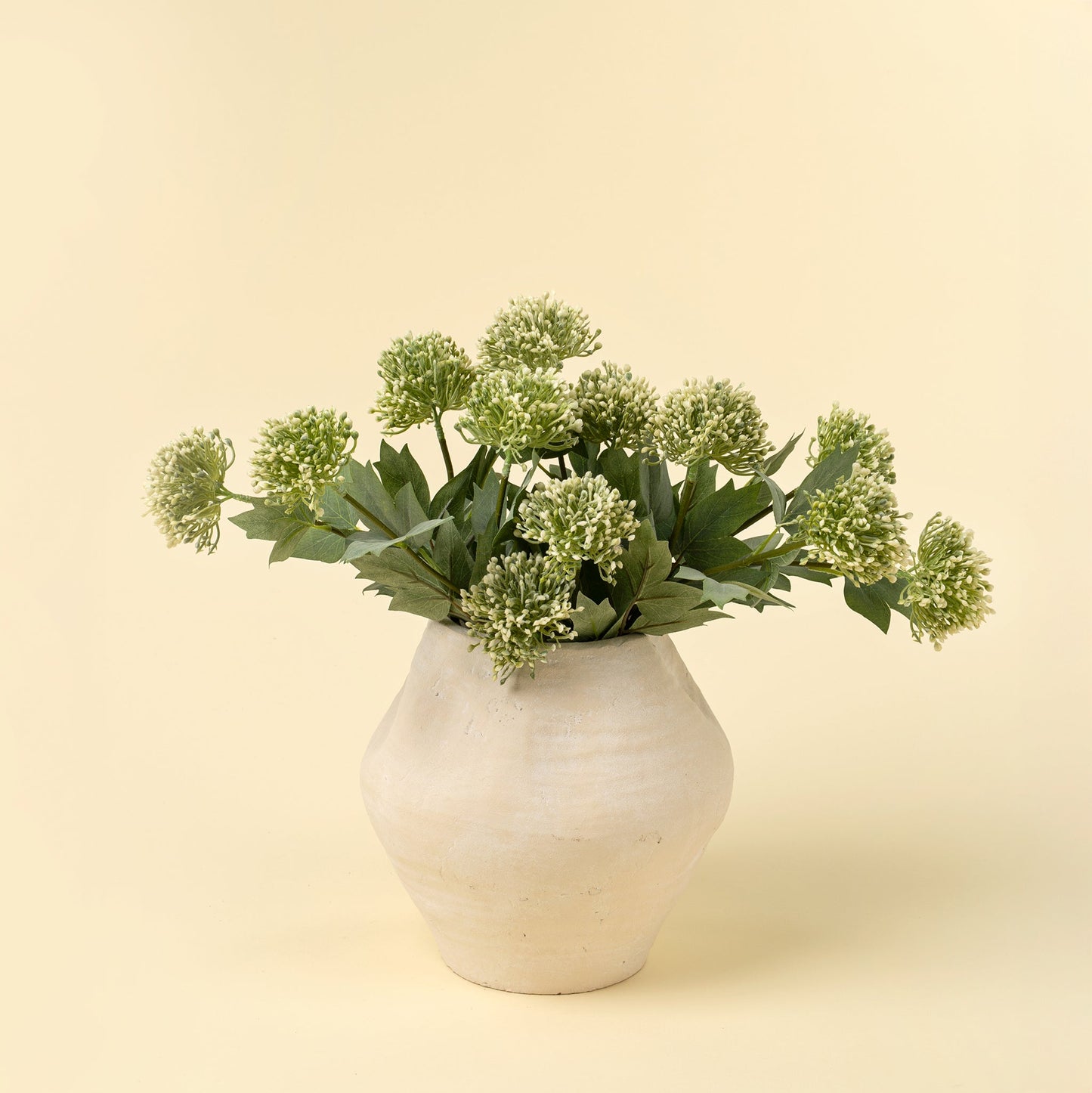 Sedum Spray, Green