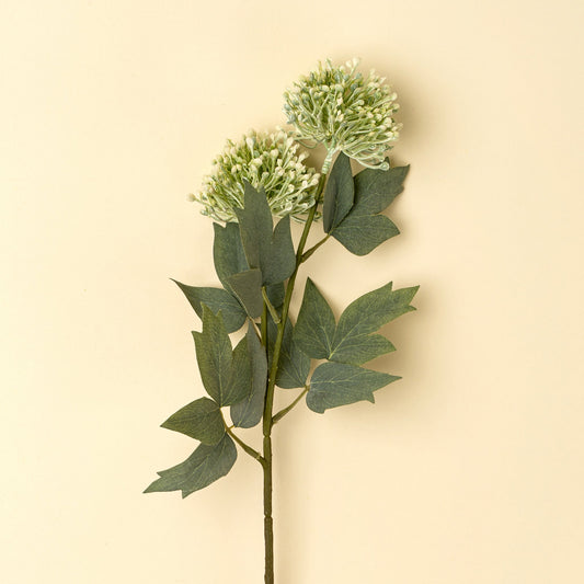 Sedum Spray, Green