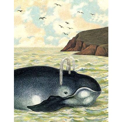 Card: Seaside Whale