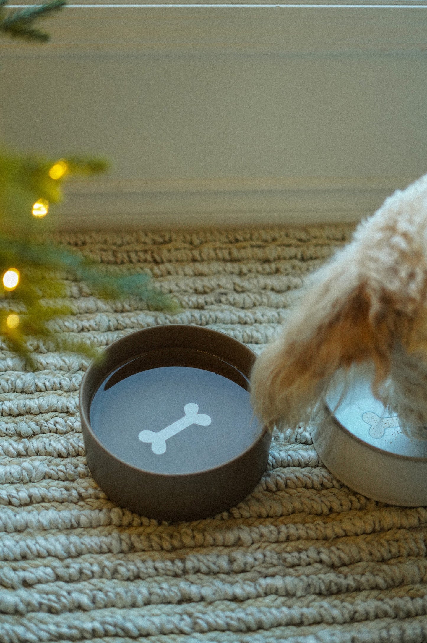 Pottery Pet Bowl L, Earth