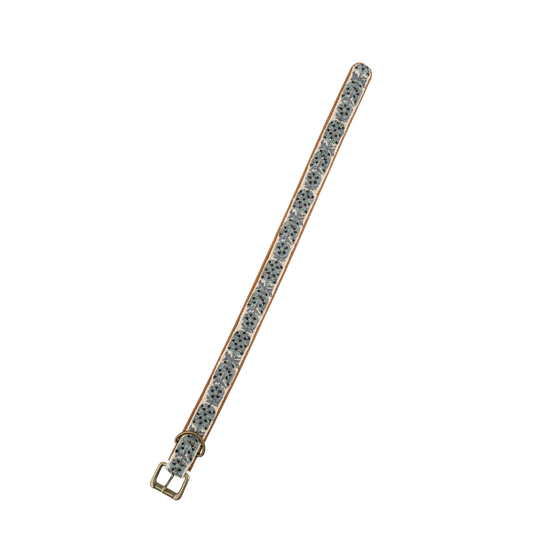 Nova Embroidered Dog Collar M