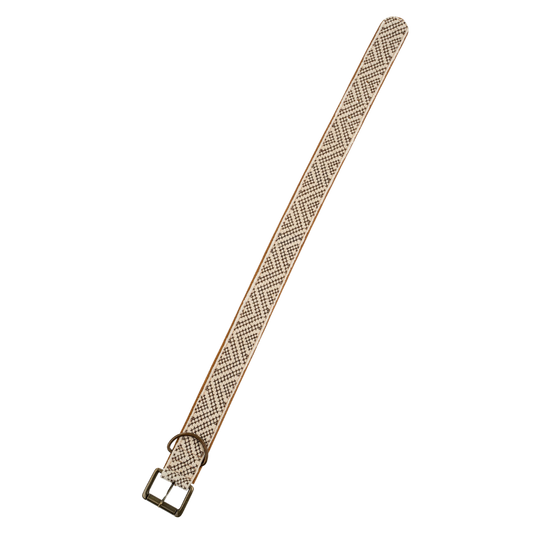 Tucker Embroidered Dog Collar L