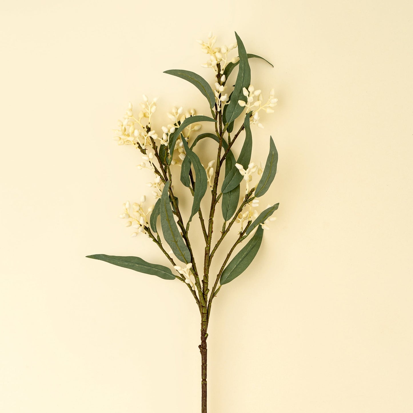 Flowering Eucalyptus Branch