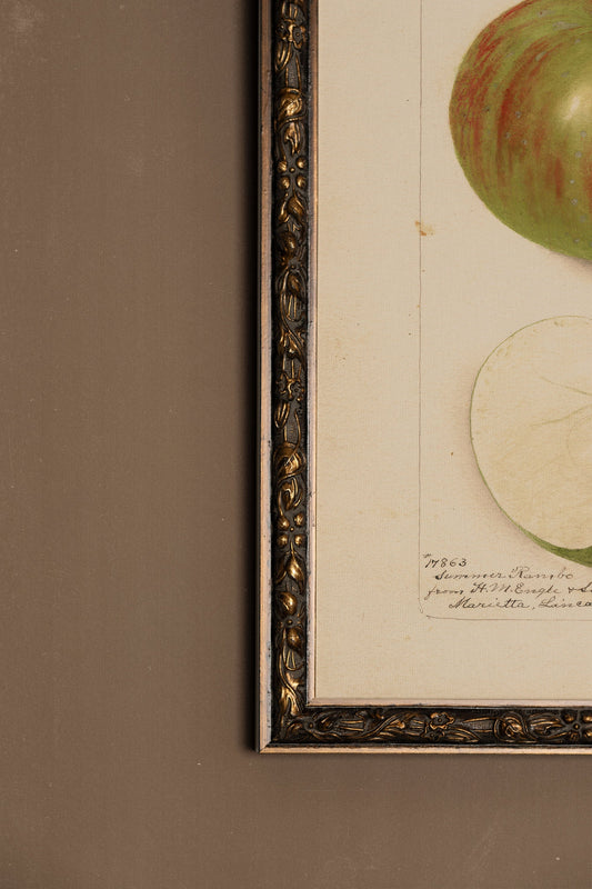 SAVEUR DU PASSÉ, VINTAGE BRONZE FRAME