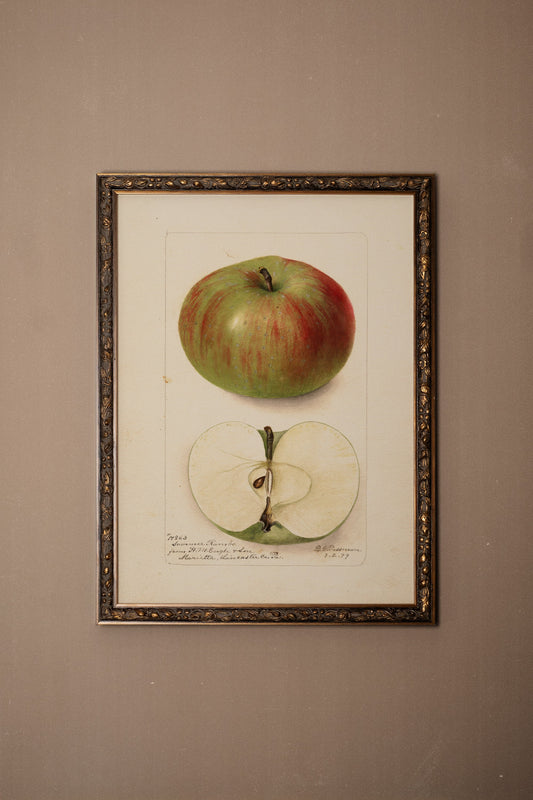 SAVEUR DU PASSÉ, VINTAGE BRONZE FRAME