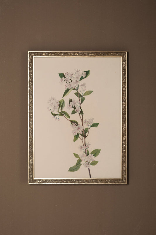 BRANCHE D'ÉPOQUE, VINTAGE SILVER FRAME