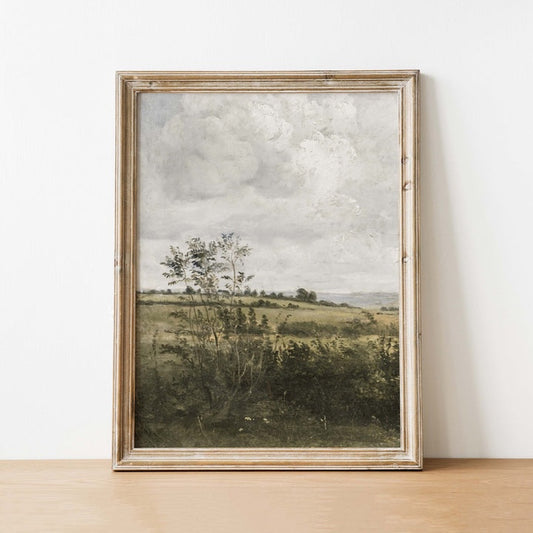 Vintage Print - Field View