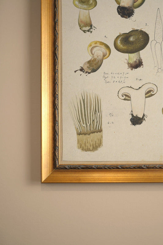 TRÉSOR FORESTIER, VINTAGE GOLD FRAME