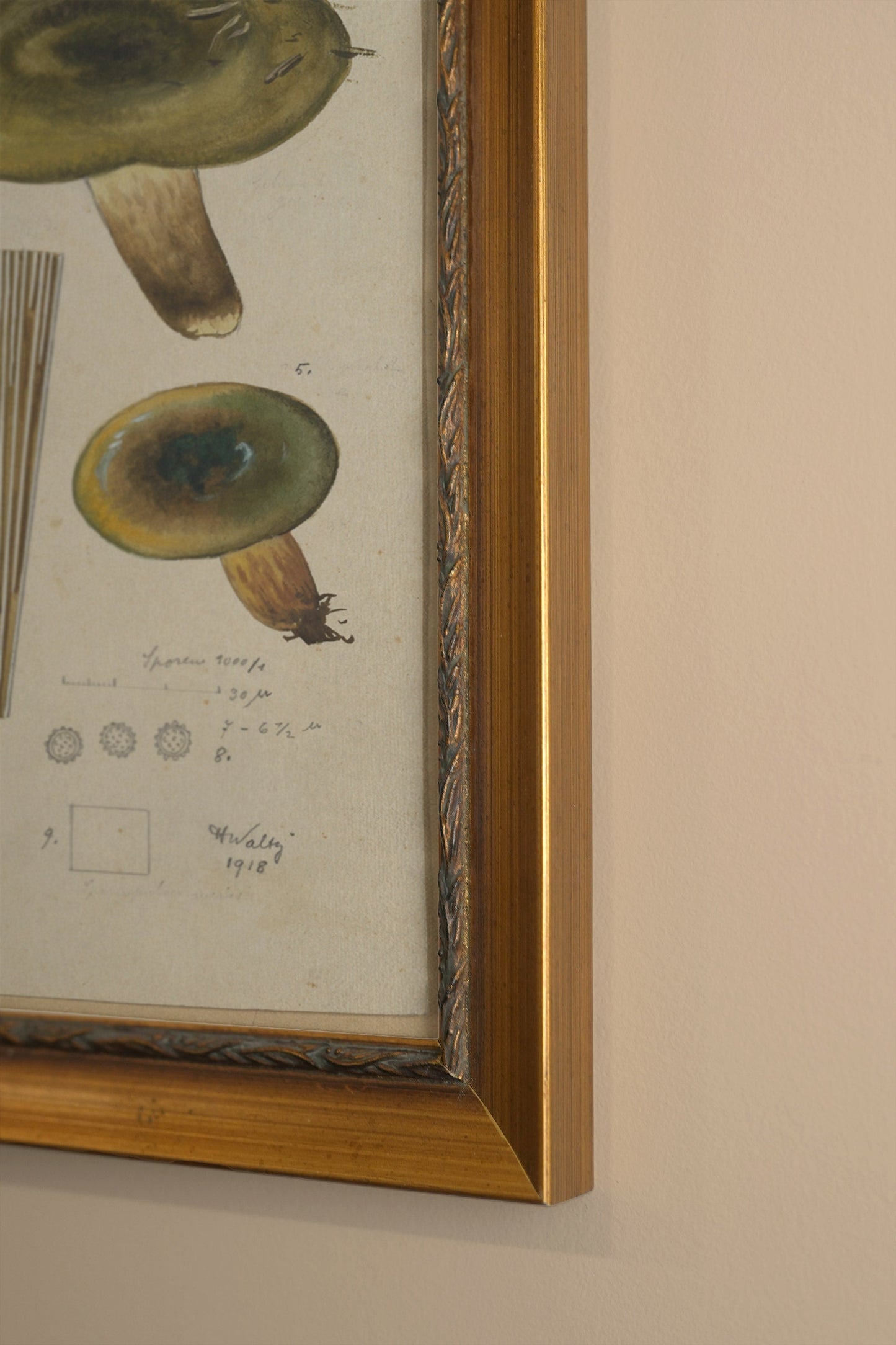 TRÉSOR FORESTIER, VINTAGE GOLD FRAME