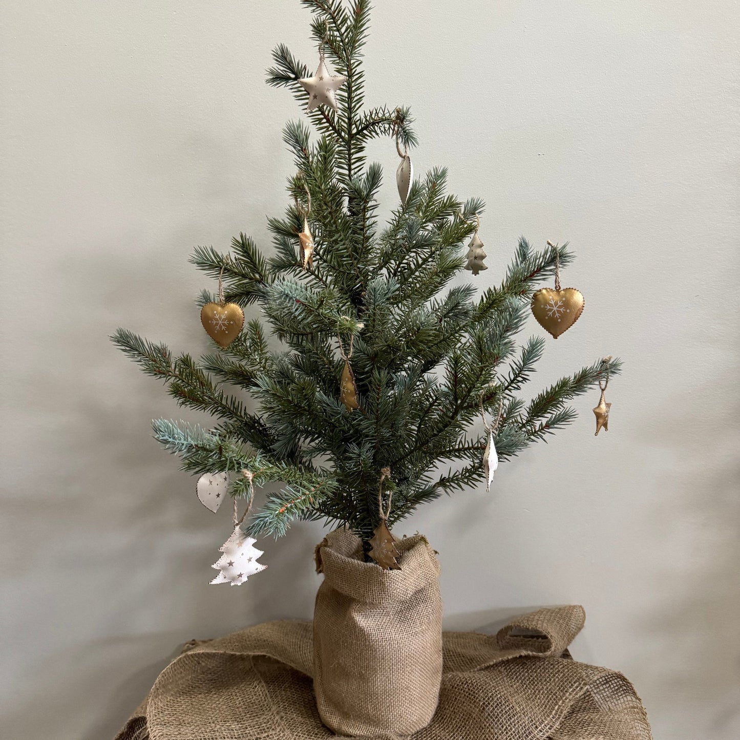 Mini Star Ornament- White/Gold