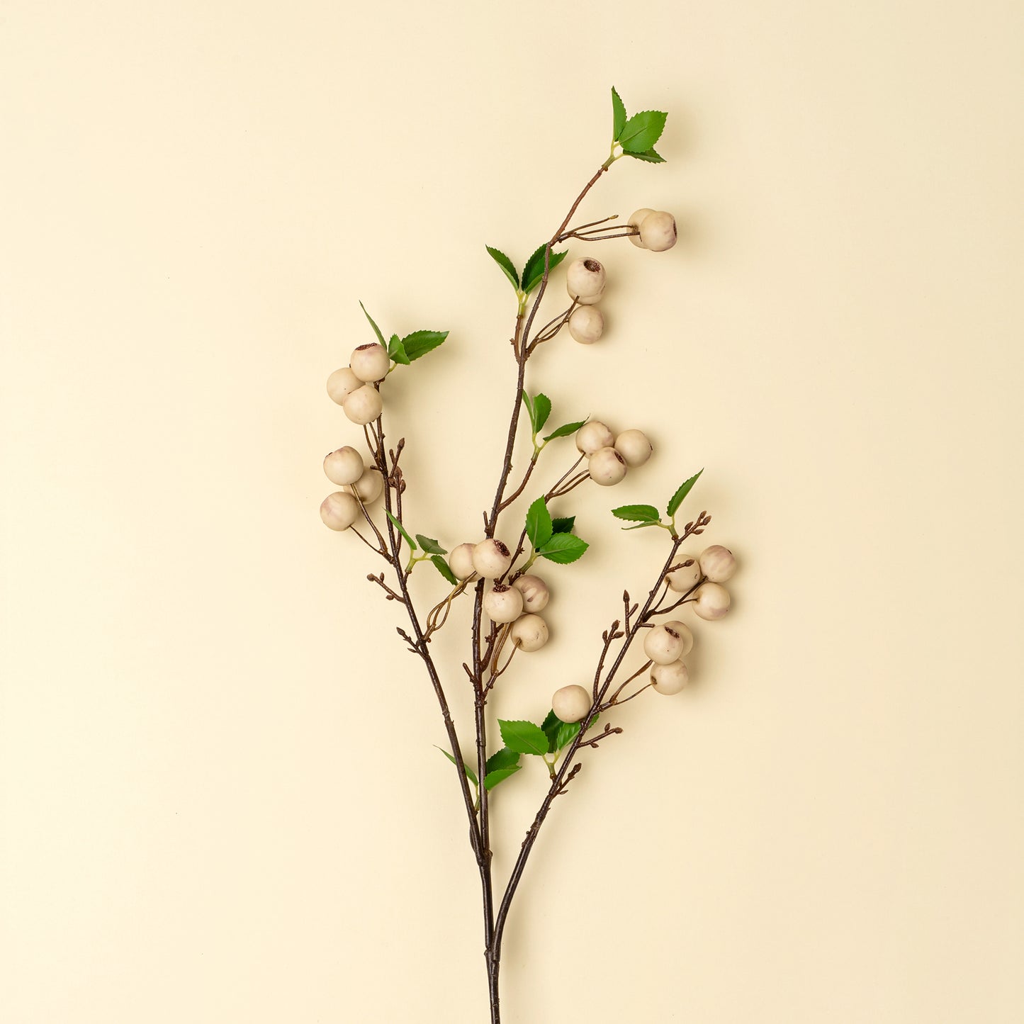 Wild Apple Berry Spray